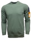 SWEATSHIRT - 905 - B33