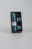 TERMOS 500 ML - 202508