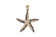 Star Kolye Ucu