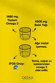 balik-yagi-omega-3-limon-aromali-surup--a080-.jpg