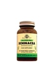 echinacea-520-mg-100-kap-4909f6.jpg