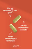 fitozomal-quercetin-100-mg-60-kapsul-94a-46.jpg