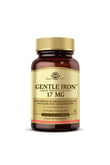 gentle-iron-17mg-90-kapsul-5-a0b3.jpg