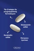 glukozamin-kompleks-glukozamin-kondrit-f1db-4.jpg