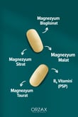 magnezyum-complex-bisglisinat-malat-si-5e1452.jpg