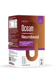 neurobexol-60-kapsul-76d4ba.jpg