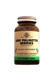 saw-palmetto-100x520-mg-869bd6.jpg