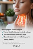 selenyum-200-mcg-60-tablet-2014-6.jpg
