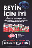sorvagen-sitikolin-dha-omega-3-ve-b12--e869bc.jpg