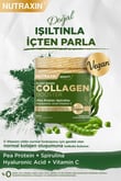 vegan-protein-booster-300-gr-pea-prote-483665.jpg