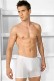 Arias Closet Erkek Modal Klasik Boxer