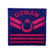 Single Sword Jandarma Asayiş Mini Rütbe Nakış (Y.UZM.ÇVŞ.3)