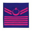 Single Sword Jandarma Asayiş Nakış Rütbe (UZM.ÇVŞ.5)