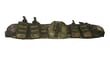 Single Sword Molle Kemer TM-01 (Y.TSK)
