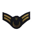 Single Sword Plastik Jandarma Asayiş Rütbe (ASTSB.ÇVŞ)