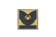 Single Sword Plastik Patch (Peç) Astsubay Rütbe (BEJ-ASB.ÇVŞ)