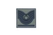Single Sword Plastik Patch (Peç) Astsubay Rütbe (HAKİ-ASB.BÇVŞ)