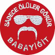 Single Sword ''SADECE ÖLÜLER GÖRÜR BABAYİĞİT'' Yazılı Cırtlı Nakış Arma, Patch, Peç Model