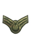 Single Sword TSK Eğitim Rütbesi Nakış (ASTSB.ÇVŞ)