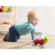 B.Toys Yürüyen Kaplumbağa