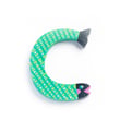 C - Animals letter