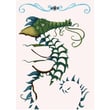Djeco Folyo Sanatı / Guild The Dragons