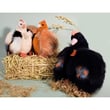 Doudou Siyah Tavuk 28 cm