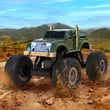 Driven Grizzly
