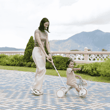 Globber Learning Trike 3in1 Plus Bisiklet - Pastel Yeşil