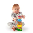 Hape Four Fundamentals Ahşap Duyu Seti
