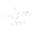 Little Big Room Dönence/White Birds