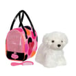Pucci Pups Bichon Frise