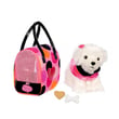 Pucci Pups Bichon Frise