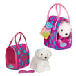 Pucci Pups Bichon Frise