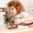 Terra Lava Dağı, T. Rex Macerası