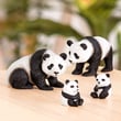 Terra Panda Ailesi