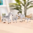 Terra Zebra Ailesi