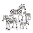 Terra Zebra Ailesi