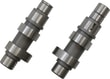 ANDREWS 21G CAM EKSANTRİK S 99-06 TWIN CAM EKSANTRİK  KOD: 288121G