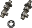 ANDREWS TW60CAM EKSANTRİK S 99-06 TWINCAM EKSANTRİK  KOD: 288160