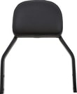 backrest-det-mini-blk-spt-5f0-e5.jpg