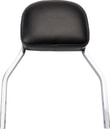 backrest-det-mini-flhcs-9b814e.jpg
