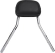 backrest-det-rnd-chr-19-aa3.jpg
