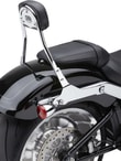 backrest-det-rnd-chr-772210.jpg