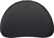 backrest-renegade-dlx-62c73c.jpg