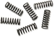 BARNETT CLUTCH SPRING KIT / DEBRİYAJ YAYI KIT SUZ KOD: 11310316