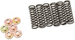 BARNETT CLUTCH SPRING SET / DEBRİYAJ YAYI SET YAM KOD: 11310643