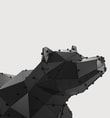 BEAR L