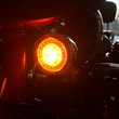 CUSTOM DYNAMICS LIGHT PB HALO 1157 AMBR KOD:20202136