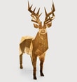 Deer Gold